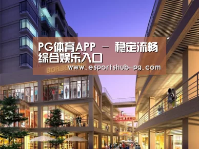 案例展示一(图1)