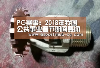 PG下载